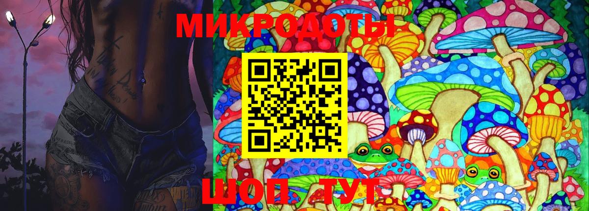 Грозный  Псилоцибиновые грибы Psilocybine cubensis  Вход с VPN 